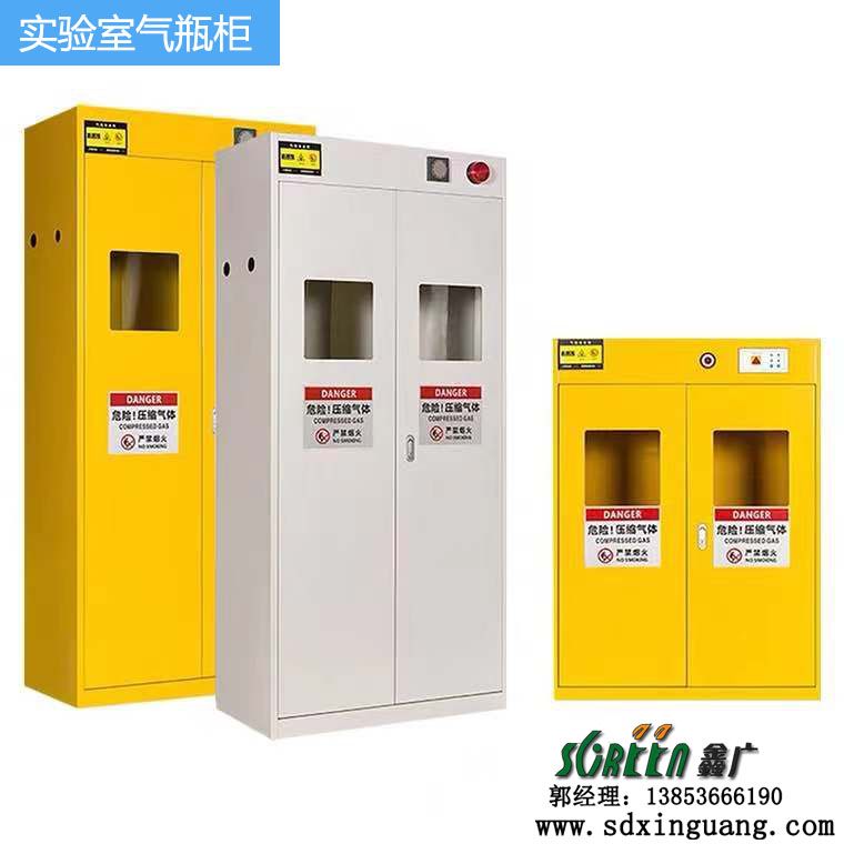 山東實驗室設(shè)備,全鋼實驗室氣瓶柜,實驗臺廠家