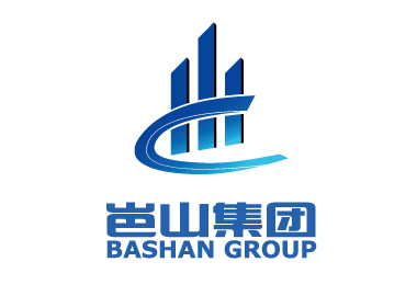 岜山集團(tuán)品牌形象LOGO/VI設(shè)計(jì)