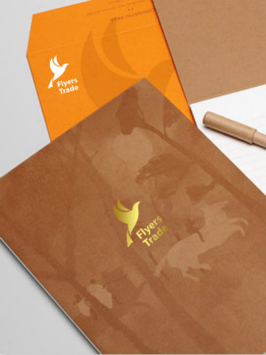 飛鳥貿(mào)易LOGO設計