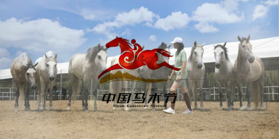 2020年中國馬術節(jié)全新LOGO設計正式官宣
