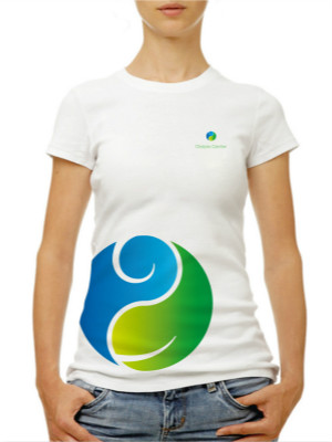 武城中醫(yī)院LOGO設計