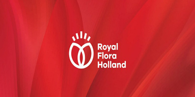 怎么才能做好北京企業(yè)vi設(shè)計(jì)?