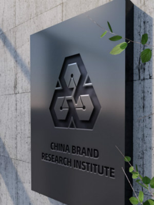 中國品牌研究院LOGO設計