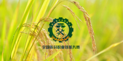 全國扶貧職業(yè)技能大賽LOGO設計揭曉