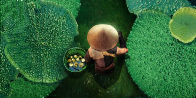 《風(fēng)味人間2》宣傳海報(bào)設(shè)計(jì)，讓你饞到流口水